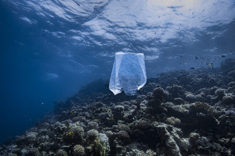 Uruguay : vers un traité international contre la pollution plastique