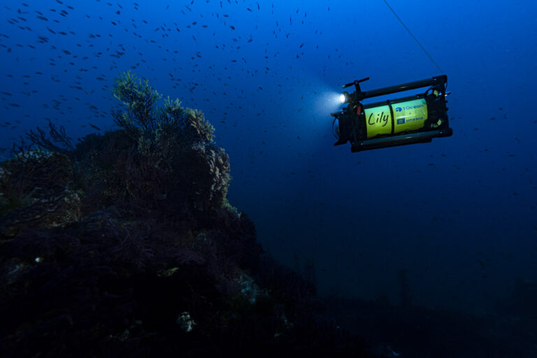 Lily, Le nouveau drone sous-marin de La Fondation 1 OCEAN